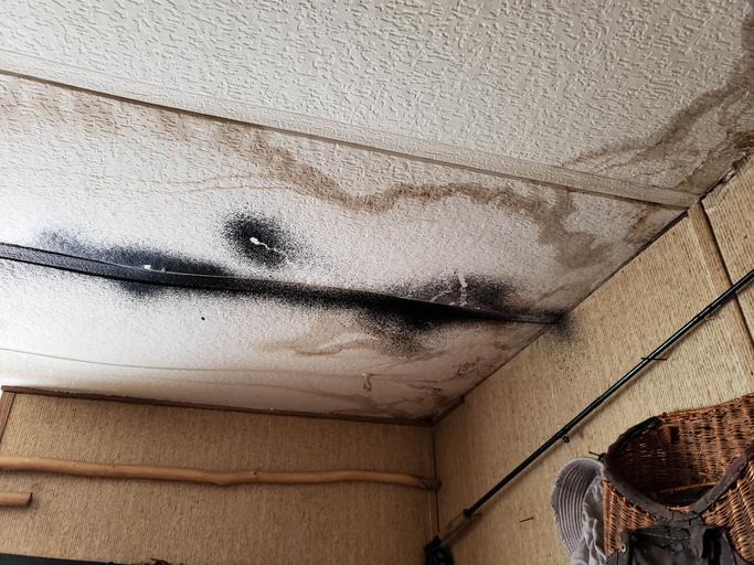 How Long Does a Landlord Have to Fix Water Damage?