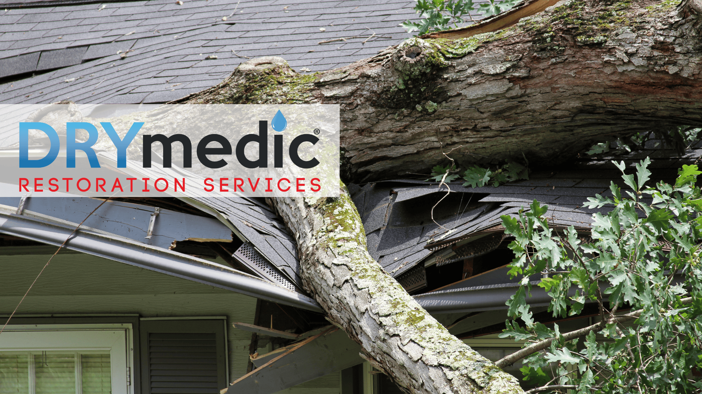 Emergency Preparedness: Handling Storm Damage in Oregon