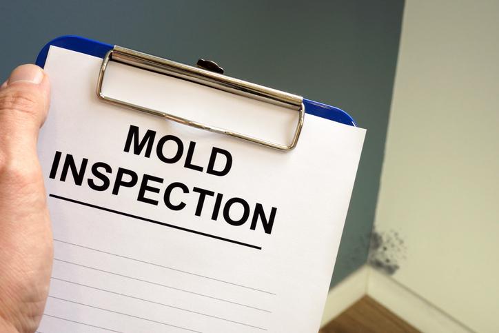 Mold Removal & Remediation Services | DRYmedic